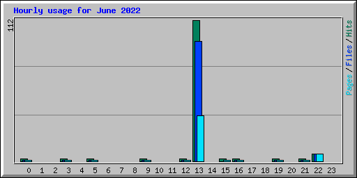 Hourly usage for June 2022