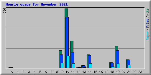 Hourly usage for November 2021