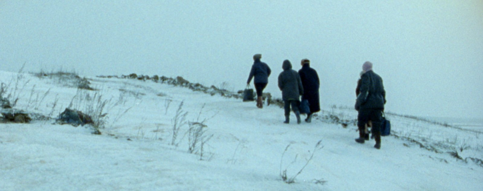 Description de l’image